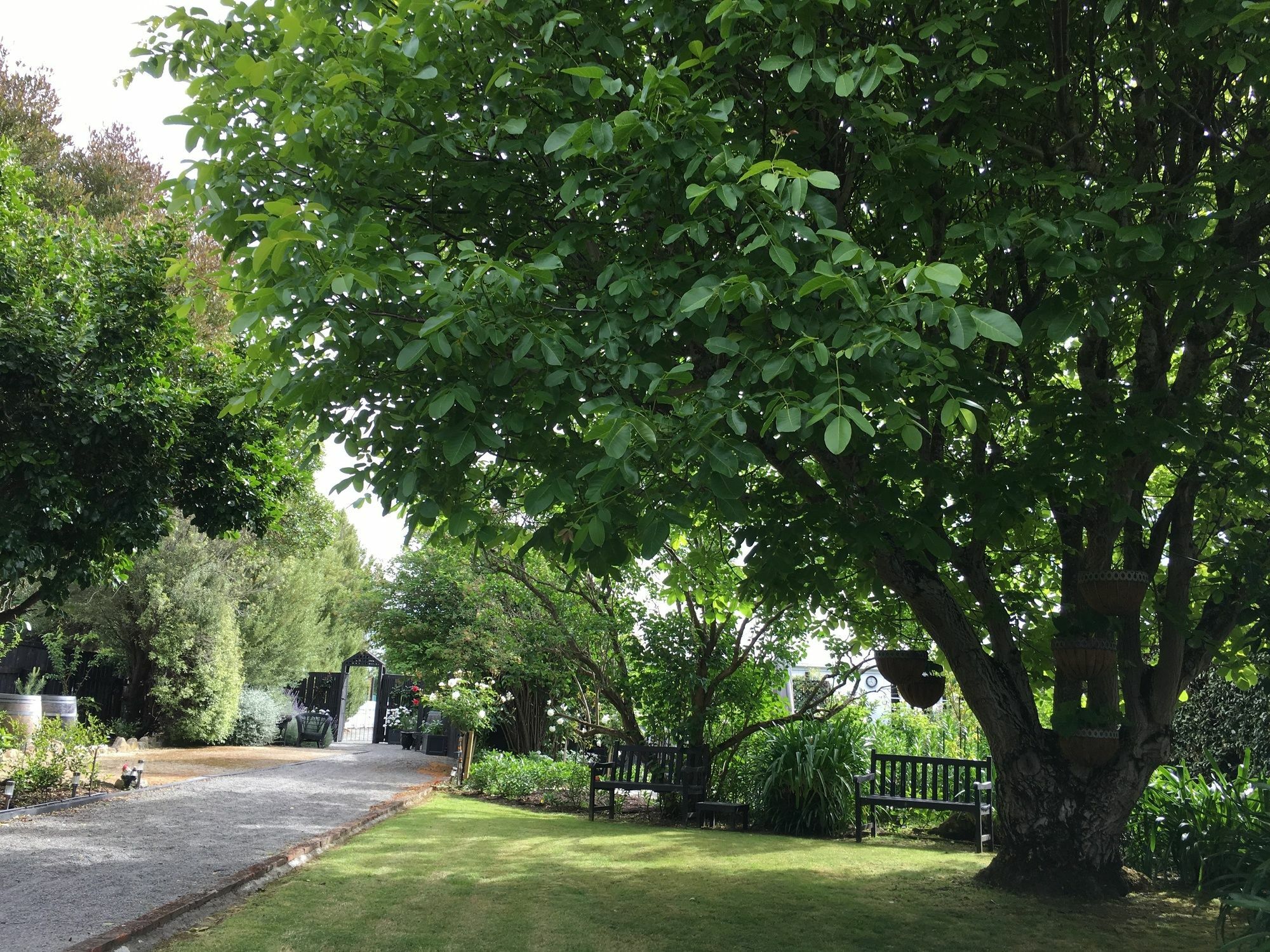 Aylstone Martinborough Hotel Exterior photo